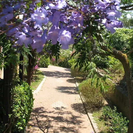Villaggio L'olivara トロペーア