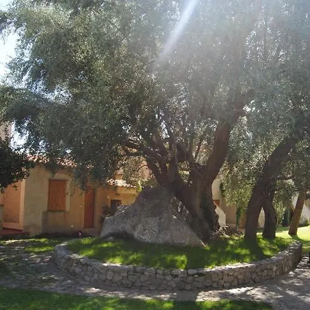 Villaggio L'olivara 3* トロペーア