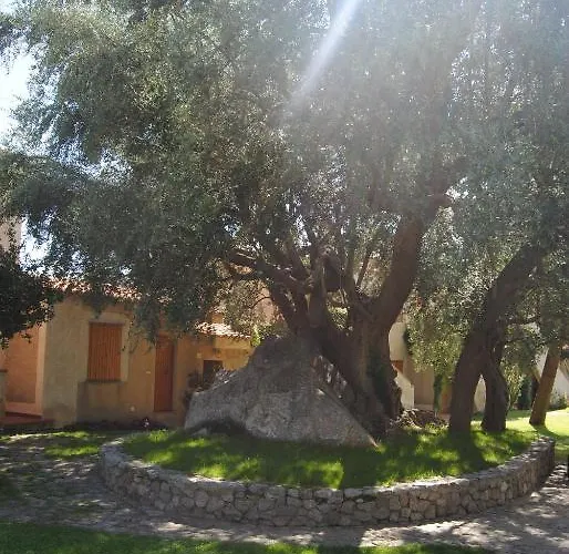 Villaggio L'olivara 3* Tropea