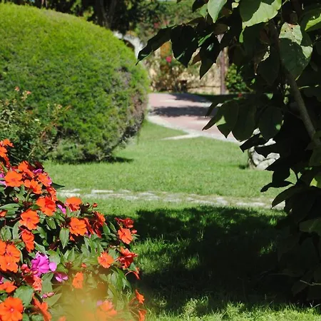 Ośrodek wypoczynkowy Villaggio L'olivara Tropea