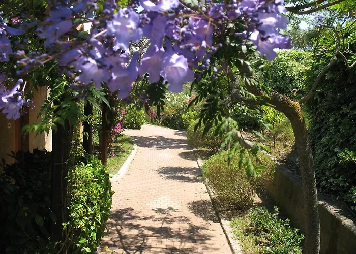 Villaggio L'olivara Tropea