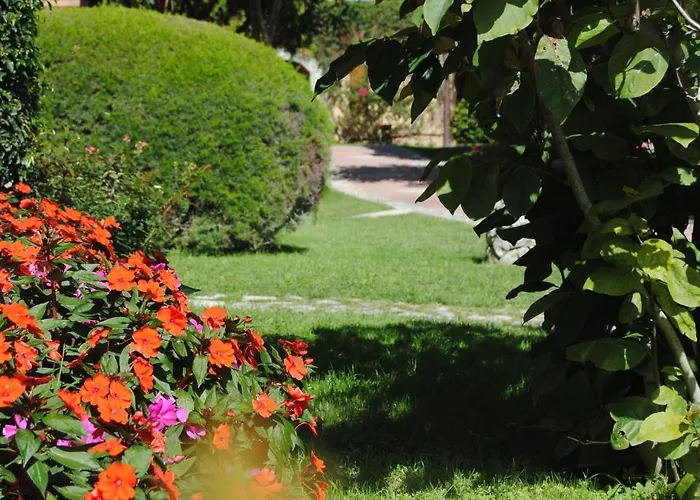 Resort Villaggio L'olivara Tropea